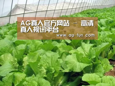 种植基地一