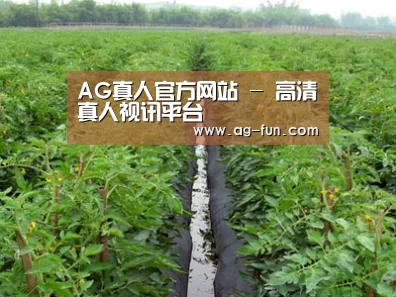 种植基地三
