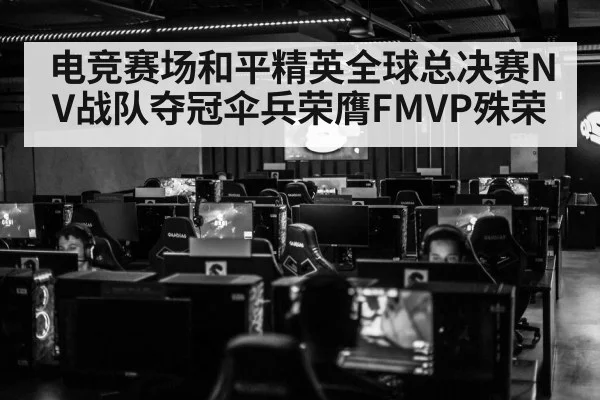 电竞赛场和平精英全球总决赛NV战队夺冠伞兵荣膺FMVP殊荣