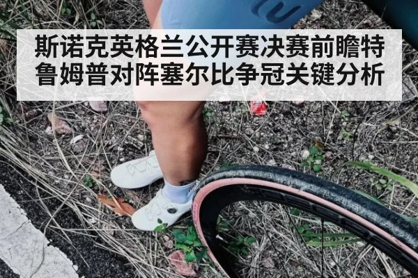斯诺克英格兰公开赛决赛前瞻特鲁姆普对阵塞尔比争冠关键分析