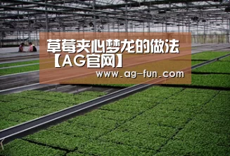 AG娱乐