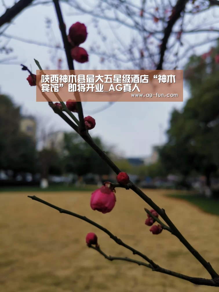 陕西神木县最大五星级酒店“神木宾馆”即将开业_AG真人(图1) AG娱乐