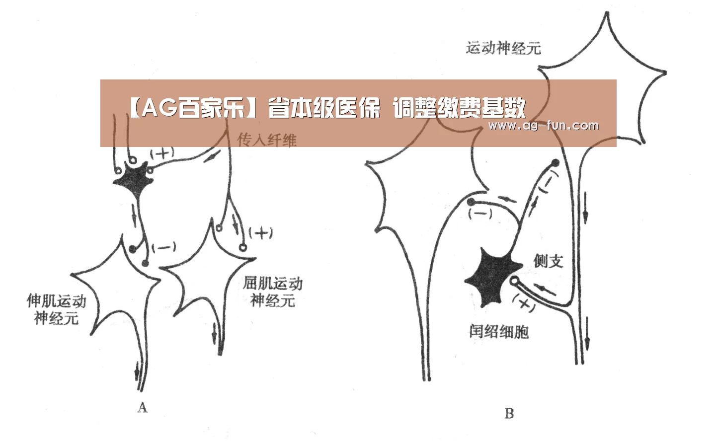 AG百家乐